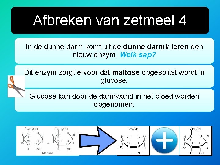 Afbreken van zetmeel 4 In de dunne darm komt uit de dunne darmklieren een