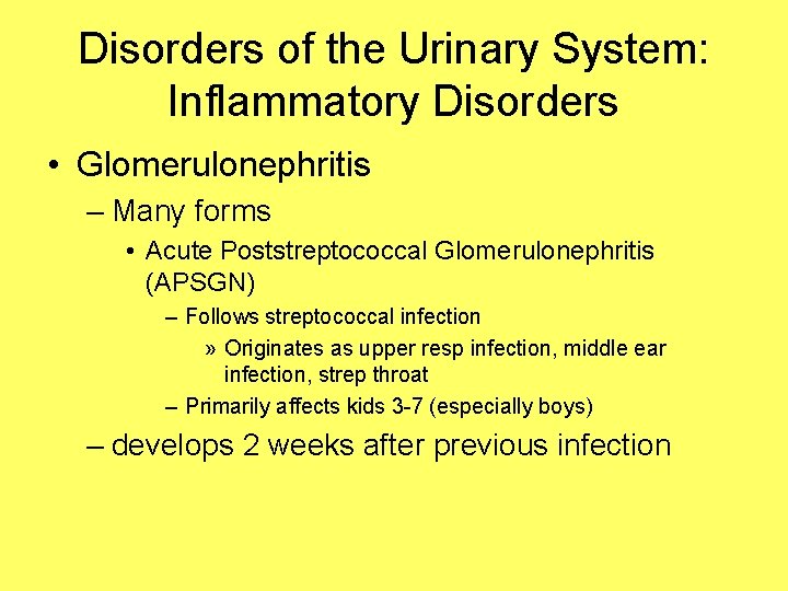 Disorders of the Urinary System: Inflammatory Disorders • Glomerulonephritis – Many forms • Acute