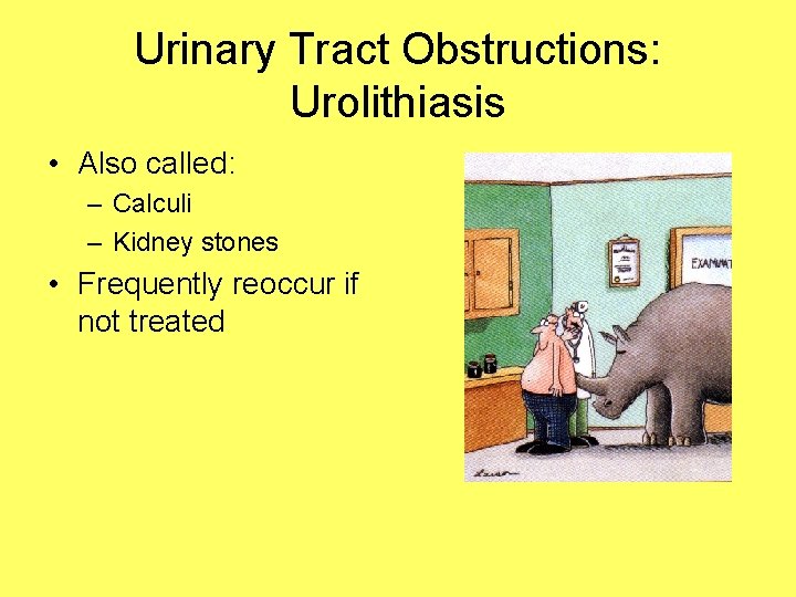 Urinary Tract Obstructions: Urolithiasis • Also called: – Calculi – Kidney stones • Frequently