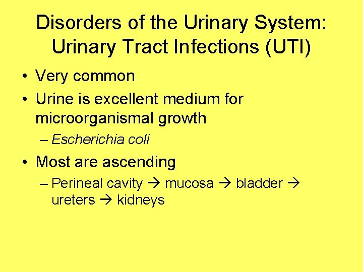 Disorders of the Urinary System: Urinary Tract Infections (UTI) • Very common • Urine