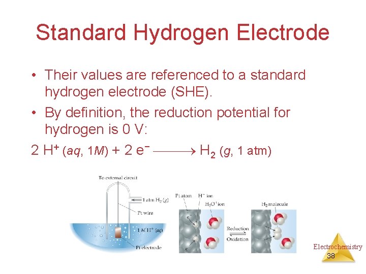 Standard Hydrogen Electrode • Their values are referenced to a standard hydrogen electrode (SHE).