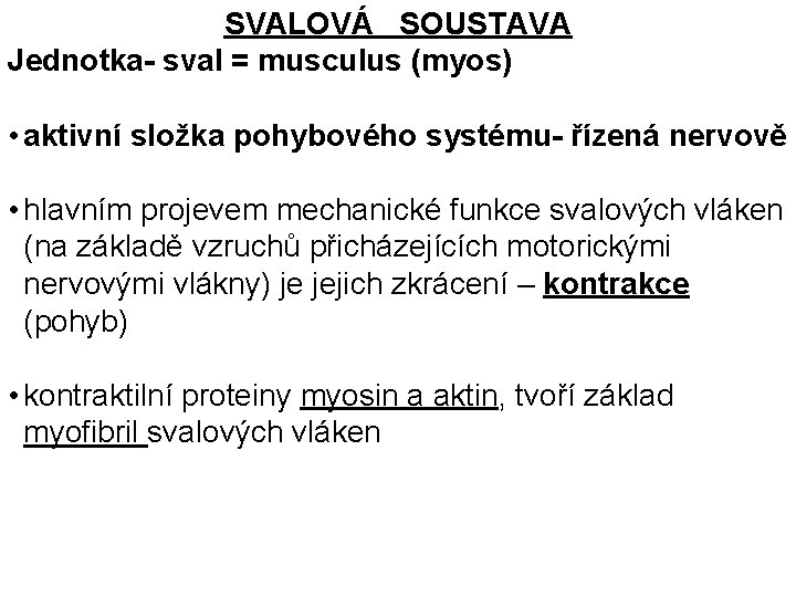 SVALOVÁ SOUSTAVA Jednotka- sval = musculus (myos) • aktivní složka pohybového systému- řízená nervově