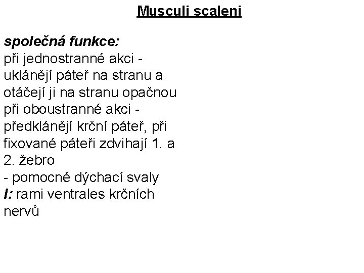 Musculi scaleni společná funkce: při jednostranné akci - uklánějí páteř na stranu a otáčejí