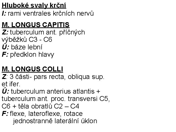 Hluboké svaly krční I: rami ventrales krčních nervů M. LONGUS CAPITIS Z: tuberculum ant.