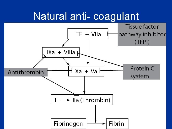 Natural anti- coagulant 