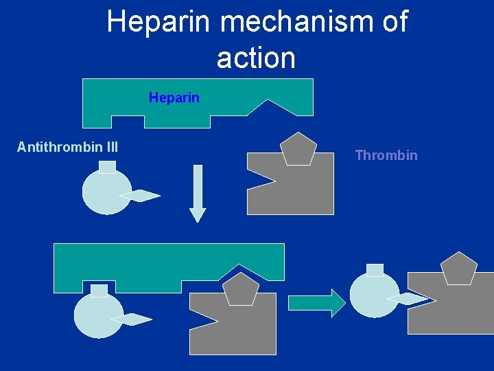 Heparin mechanism of action Heparin Antithrombin III Thrombin 