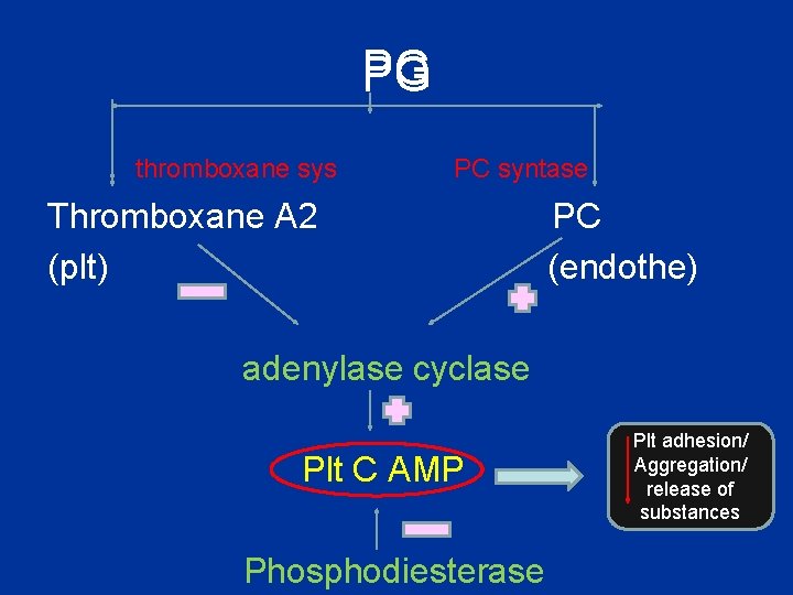 PG thromboxane sys PC syntase Thromboxane A 2 (plt) PC (endothe) adenylase cyclase Plt