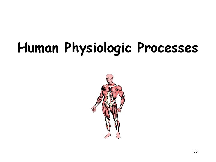 Human Physiologic Processes 25 