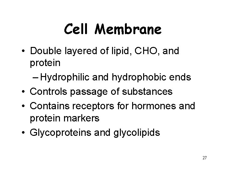 Cell Membrane • Double layered of lipid, CHO, and protein – Hydrophilic and hydrophobic