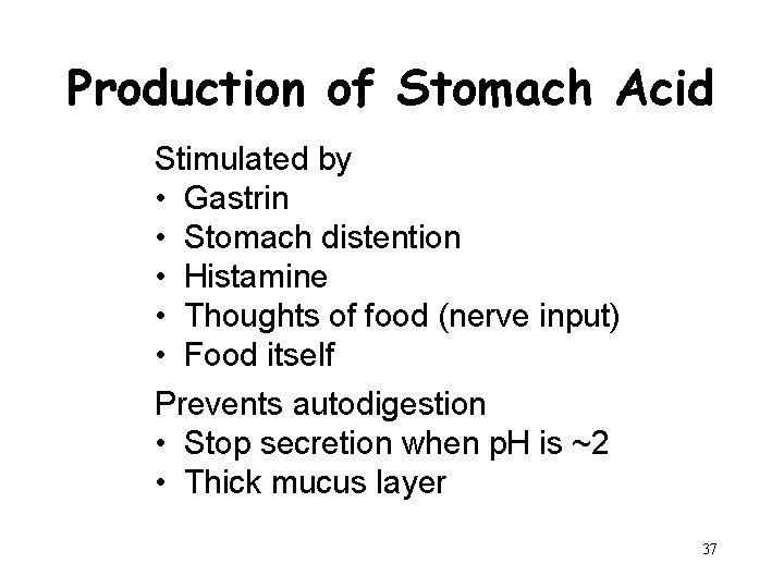 Production of Stomach Acid Stimulated by • Gastrin • Stomach distention • Histamine •