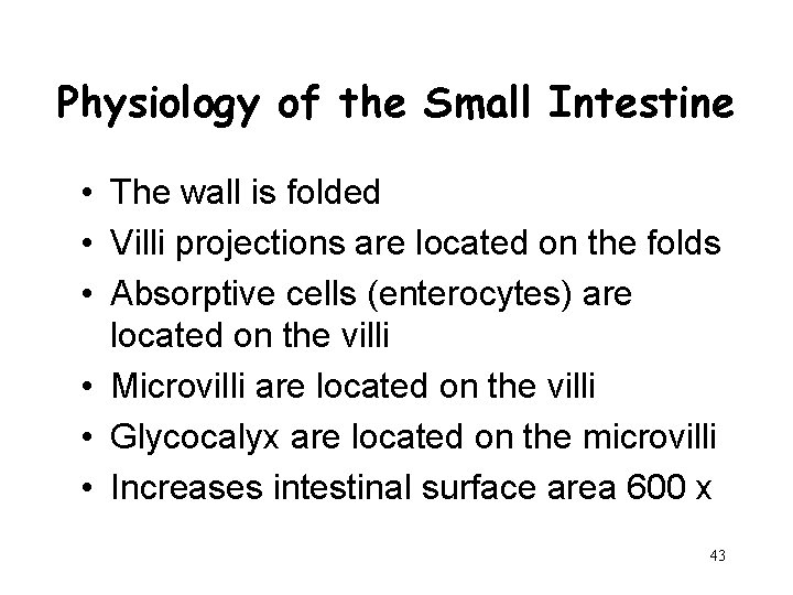 Physiology of the Small Intestine • The wall is folded • Villi projections are