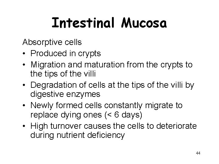 Intestinal Mucosa Absorptive cells • Produced in crypts • Migration and maturation from the