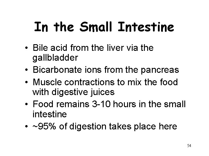 In the Small Intestine • Bile acid from the liver via the gallbladder •