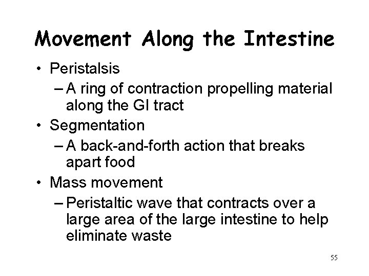 Movement Along the Intestine • Peristalsis – A ring of contraction propelling material along