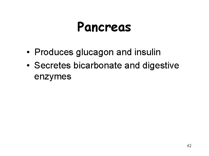 Pancreas • Produces glucagon and insulin • Secretes bicarbonate and digestive enzymes 62 