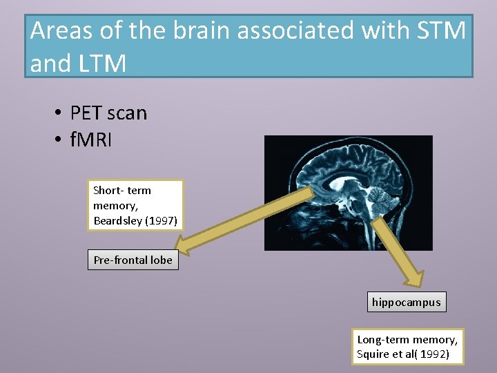 Areas of the brain associated with STM and LTM • PET scan • f.