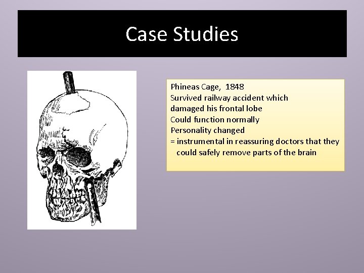 Case Studies Phineas Cage, 1848 Survived railway accident which damaged his frontal lobe Could