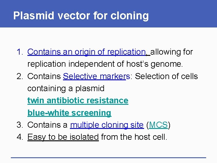 Plasmid vector for cloning 1. Contains an origin of replication, allowing for replication independent
