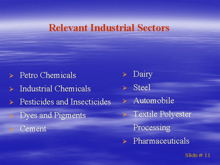 Relevant Industrial Sectors Ø Petro Chemicals Ø Dairy Ø Industrial Chemicals Ø Steel Ø