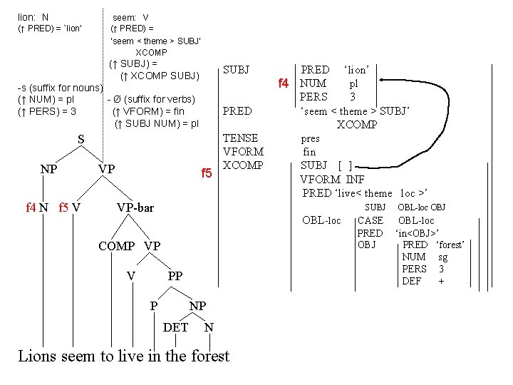 lion: N (↑ PRED) = `lion’ seem: V (↑ PRED) = ‘seem < theme