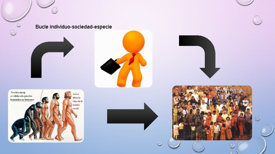 Bucle individuo-sociedad-especie 