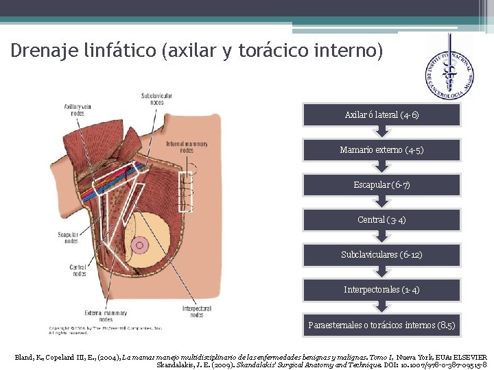 Drenaje linfático (axilar y torácico interno) Axilar ó lateral (4 -6) Mamario externo (4