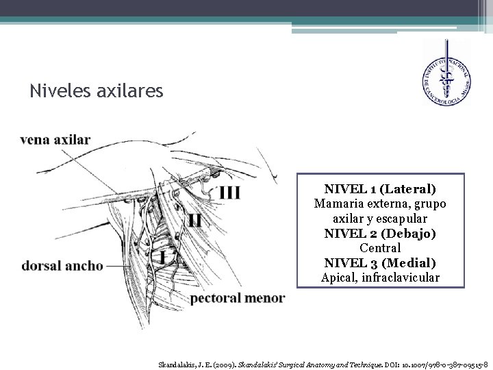 Niveles axilares NIVEL 1 (Lateral) Mamaria externa, grupo axilar y escapular NIVEL 2 (Debajo)