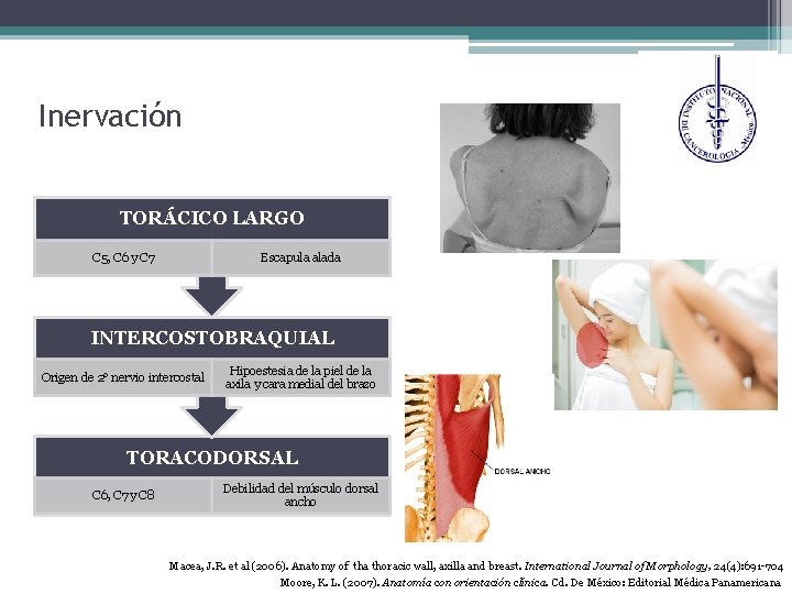 Inervación TORÁCICO LARGO C 5, C 6 y C 7 Escapula alada INTERCOSTOBRAQUIAL Origen