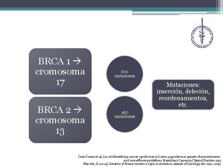 BRCA 1 cromosoma 17 BRCA 2 cromosoma 13 600 mutaciones Mutaciones: inserción, deleción, reordenamientos,