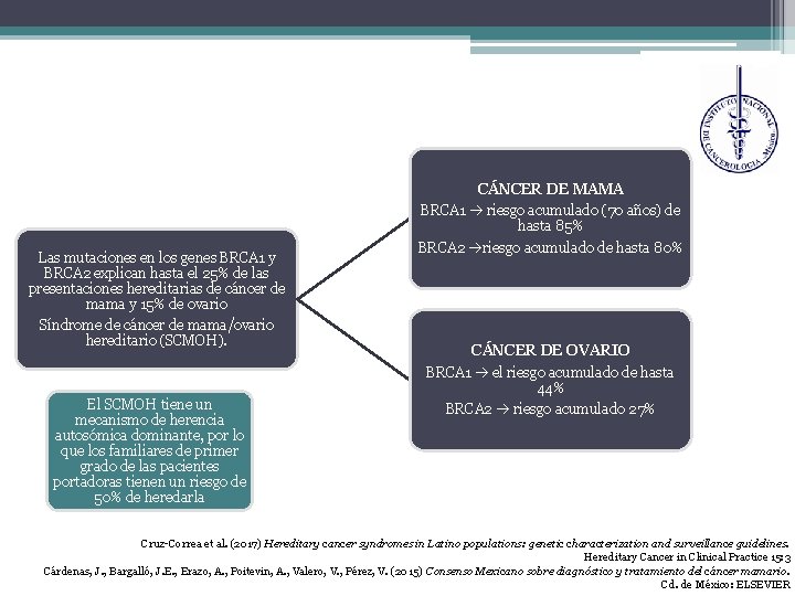 Las mutaciones en los genes BRCA 1 y BRCA 2 explican hasta el 25%