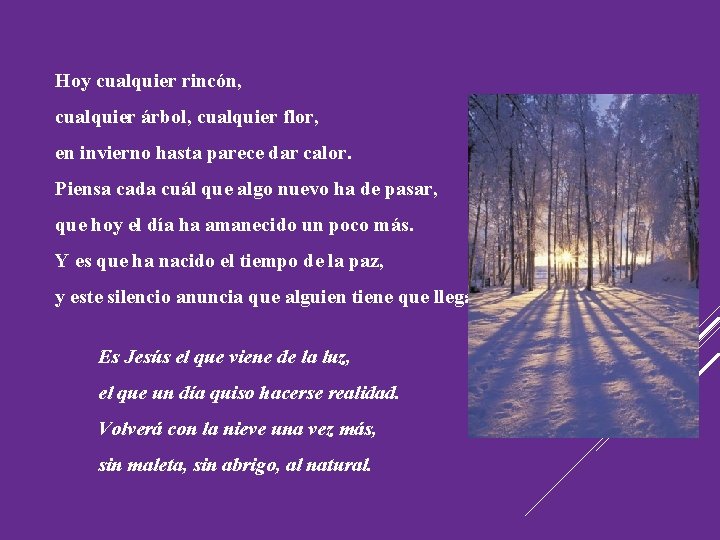 Hoy cualquier rincón, cualquier árbol, cualquier flor, en invierno hasta parece dar calor. Piensa