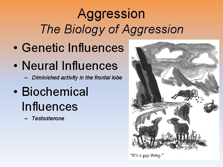Aggression The Biology of Aggression • Genetic Influences • Neural Influences – Diminished activity
