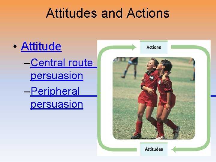 Attitudes and Actions • Attitude – Central route persuasion – Peripheral persuasion route 