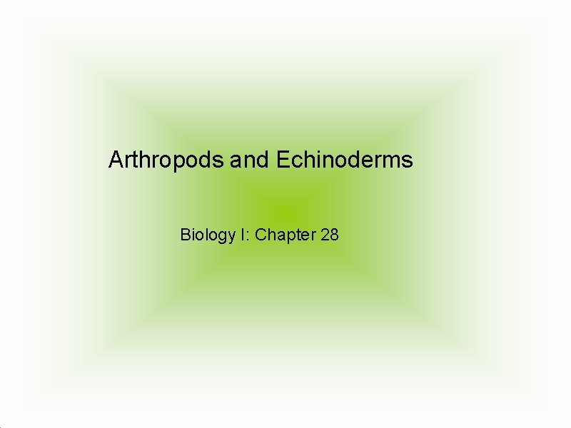 Arthropods and Echinoderms Biology I: Chapter 28 
