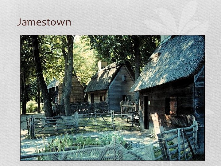 Jamestown 