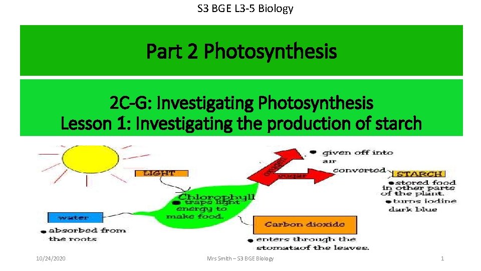 S 3 BGE L 3 -5 Biology Part 2 Photosynthesis 2 C-G: Investigating Photosynthesis