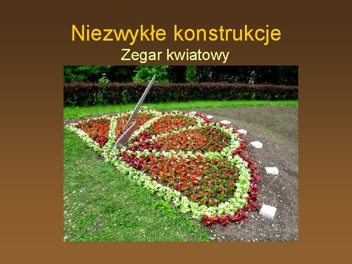 Niezwykłe konstrukcje Zegar kwiatowy 