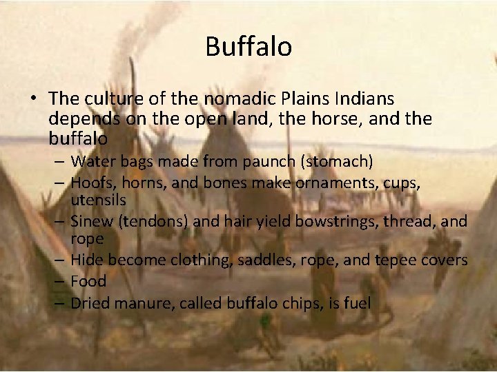 Buffalo • The culture of the nomadic Plains Indians depends on the open land,