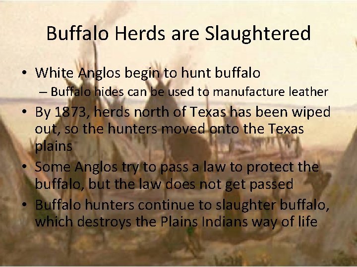 Buffalo Herds are Slaughtered • White Anglos begin to hunt buffalo – Buffalo hides