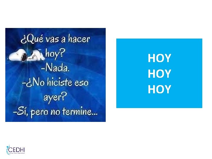 HOY HOY HOY HOY