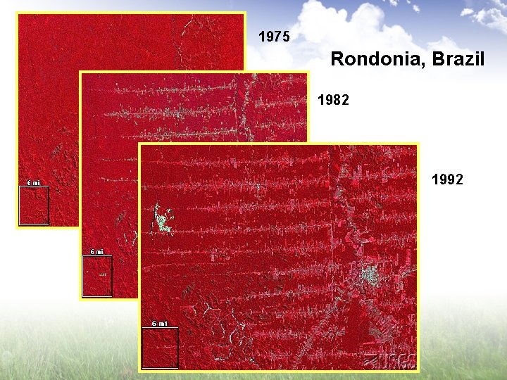 1975 Rondonia, Brazil 1982 1992 