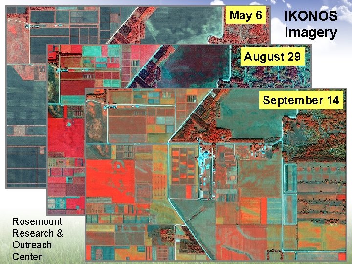 May 6 IKONOS Imagery August 29 September 14 Rosemount Research & Outreach Center 