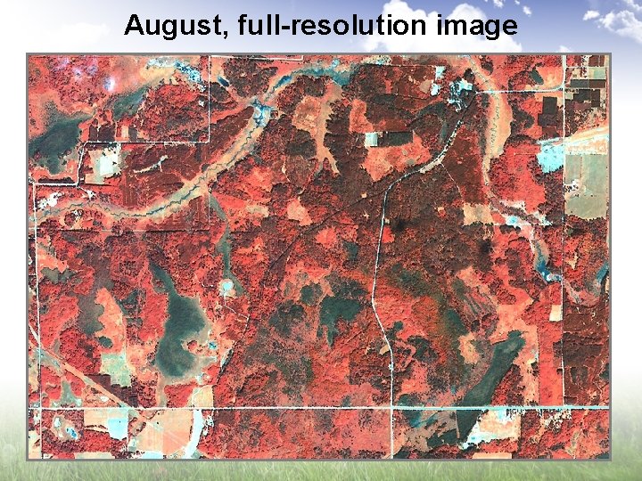 August, full-resolution image 