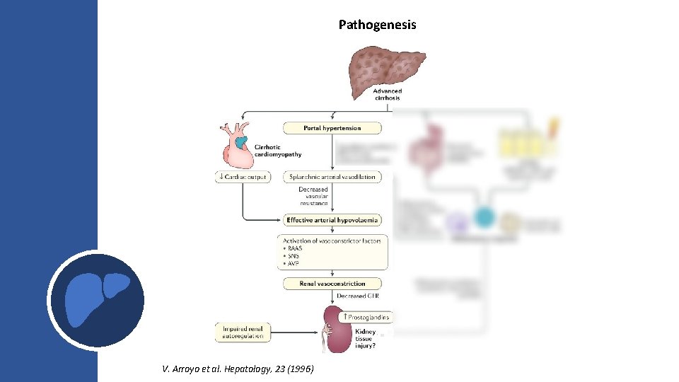Pathogenesis V. Arroyo et al. Hepatology, 23 (1996) Pathogenesis V. Arroyo et al. Hepatology, 23 (1996)
