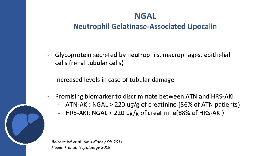 NGAL Neutrophil Gelatinase-Associated Lipocalin - Glycoprotein secreted by neutrophils, macrophages, epithelial cells (renal tubular NGAL Neutrophil Gelatinase-Associated Lipocalin - Glycoprotein secreted by neutrophils, macrophages, epithelial cells (renal tubular