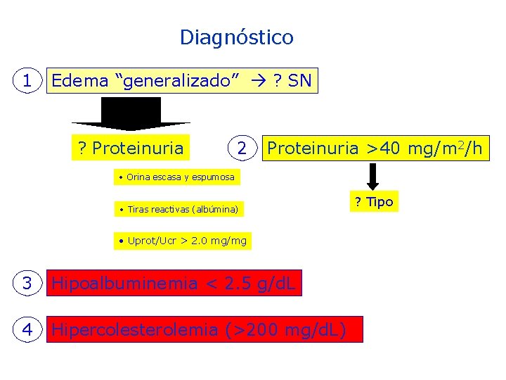 Diagnóstico 1 Edema “generalizado” ? SN ? Proteinuria 2 Proteinuria >40 mg/m 2/h •