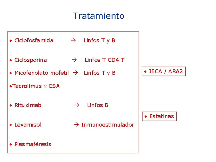 Tratamiento • Ciclofosfamida Linfos T y B • Ciclosporina Linfos T CD 4 T