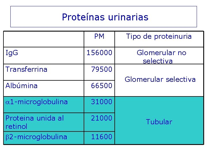 Proteínas urinarias Ig. G PM Tipo de proteinuria 156000 Glomerular no selectiva Glomerular selectiva