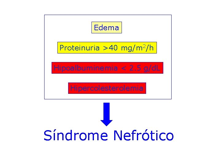 Edema Proteinuria >40 mg/m 2/h Hipoalbuminemia < 2. 5 g/d. L Hipercolesterolemia Síndrome Nefrótico