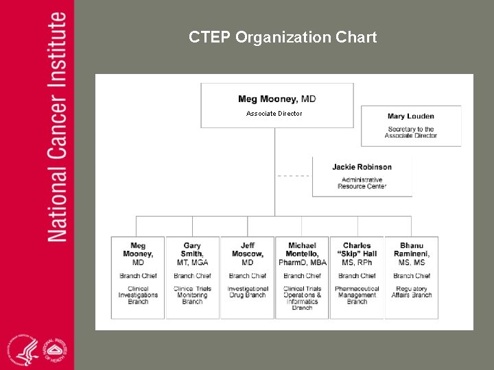 CTEP Organization Chart Associate Director 